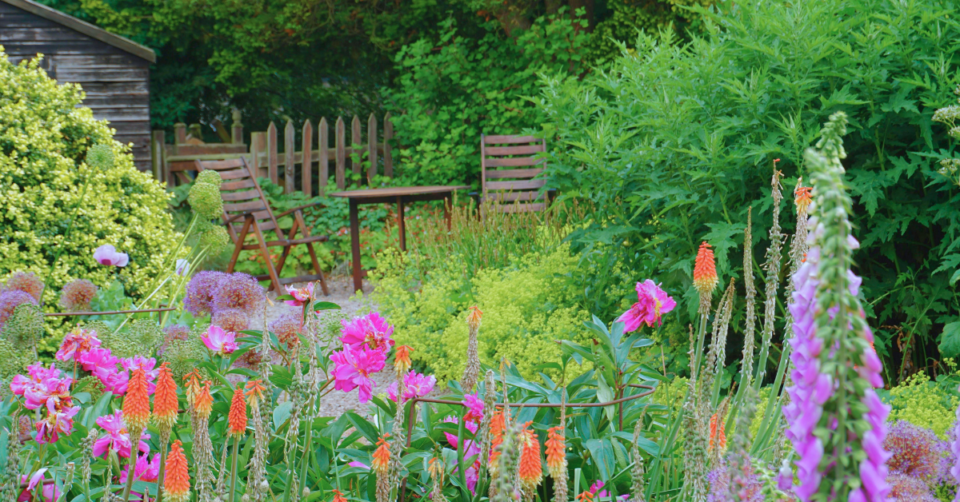 a very pretty and flower rich garden